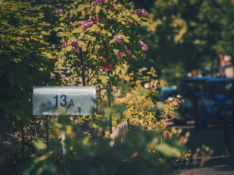 Free Image of Lush garden scene with a house number plaque 