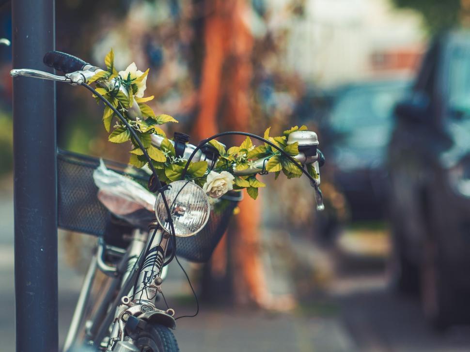 Free Image of Bicycle with flower decoration parked on street 