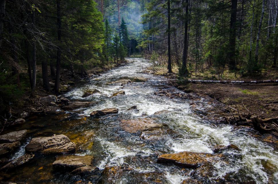 Free Image of Freshwater stream flowing through forest 