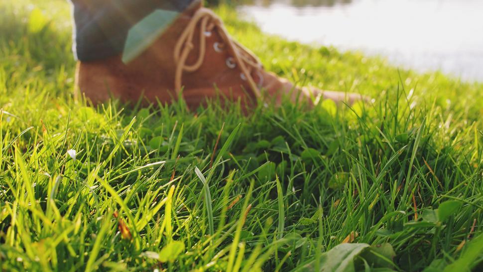Free Image of Close-up of a shoe on green grass 