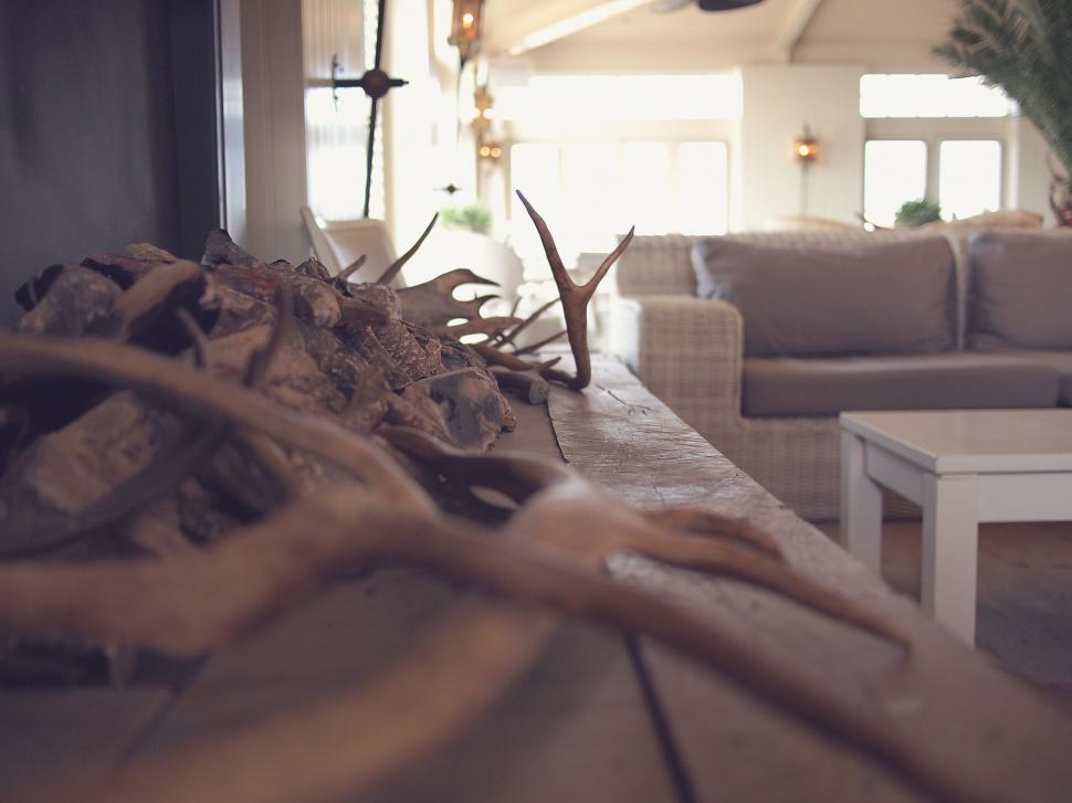 Free Image of Antique wooden antlers on rustic table 