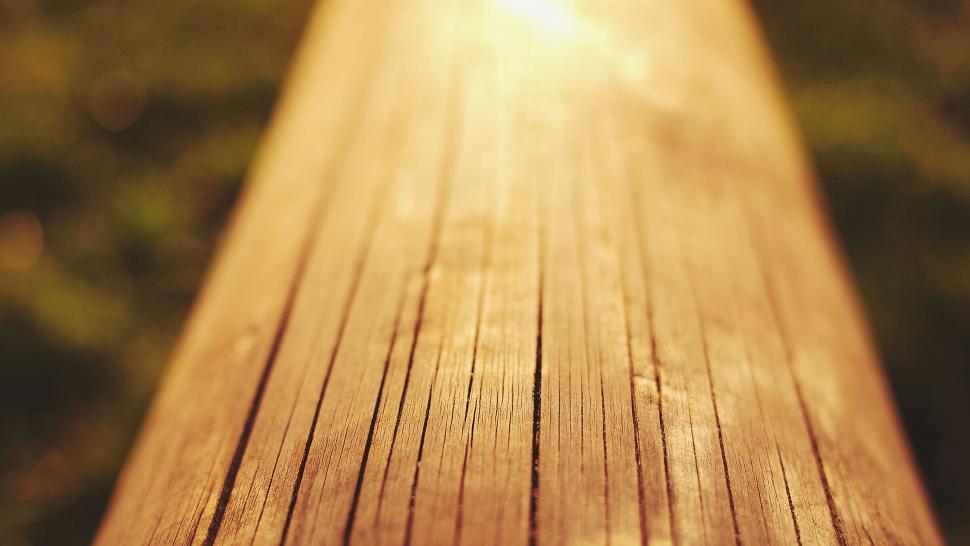 Free Image of Sunlight illuminating a wooden plank 