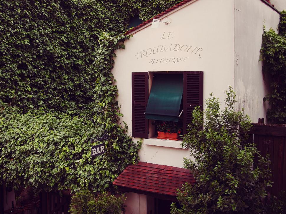 Free Image of Quaint restaurant exterior overgrown with green ivy 