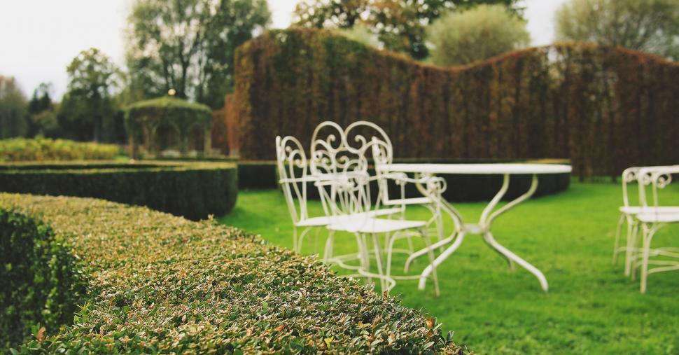 Free Image of Elegant garden with outdoor seating 