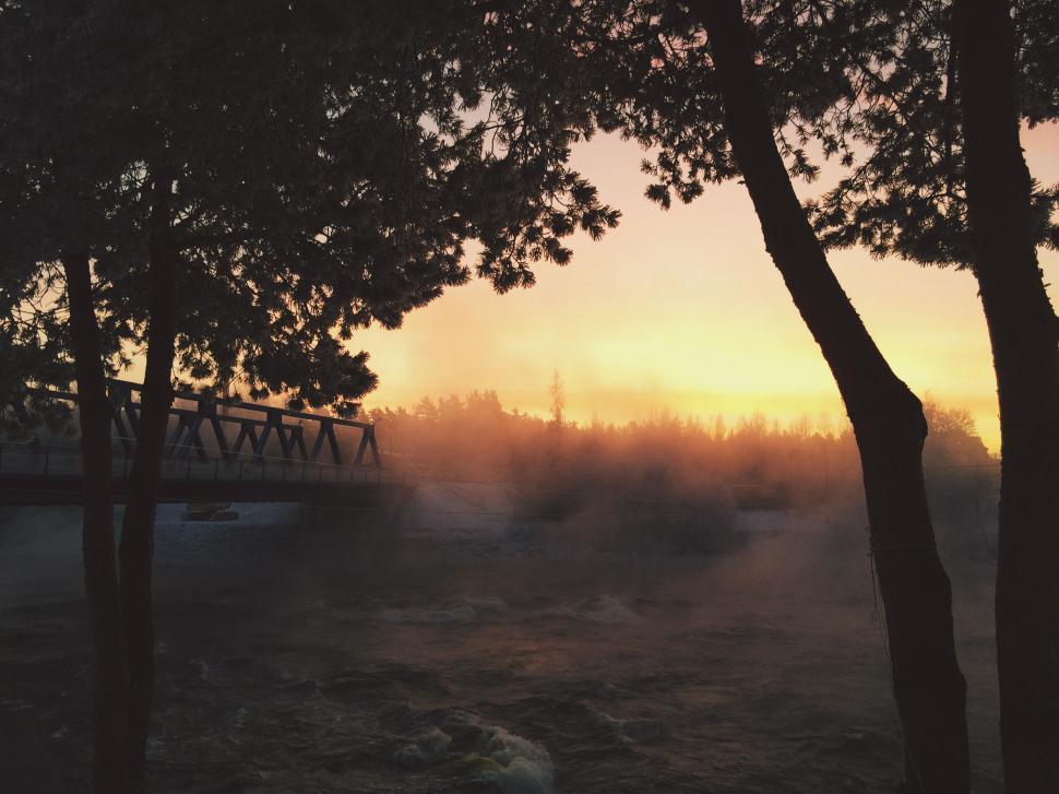 Free Image of Mystical river fog at sunrise with trees 