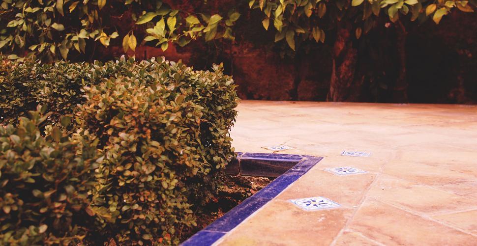 Free Image of Bright green bush by ornate tiles and wall 