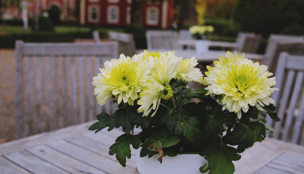 Free Image of Outdoor flowers on a table at a posh venue 