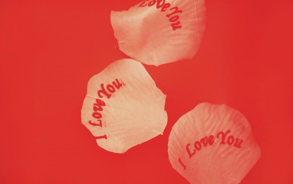 Free Image of I Love You  message on rose petals 