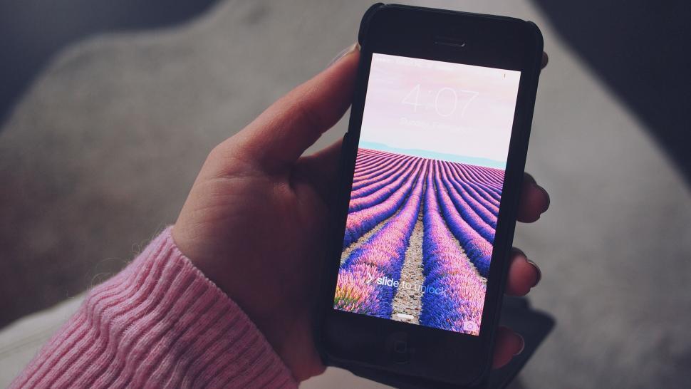 Free Image of Person holding a smartphone with a landscape wallpaper 