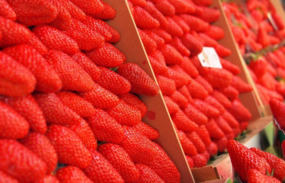 Free Image of Vibrant red strawberries arranged in rows 