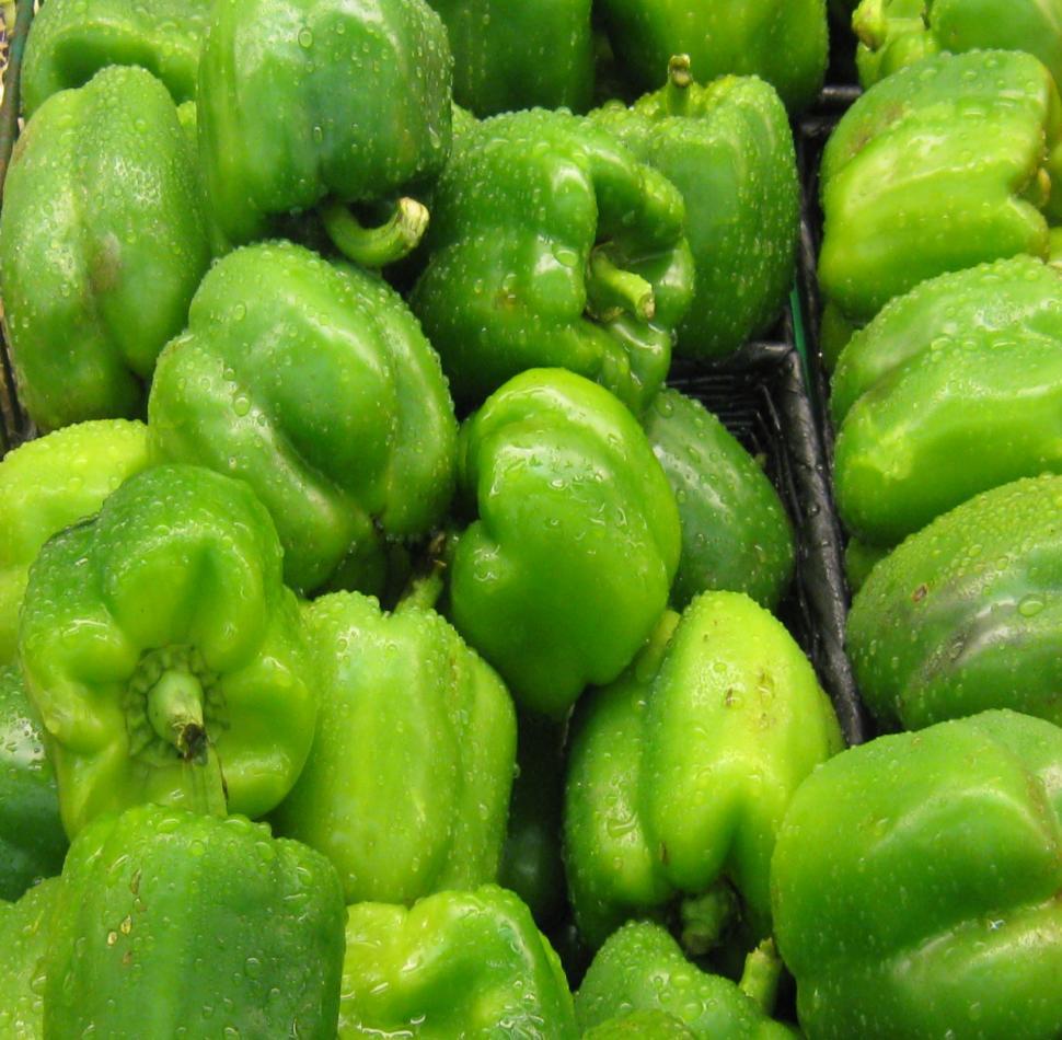 Free Image of The Belle of the Peppers Green 