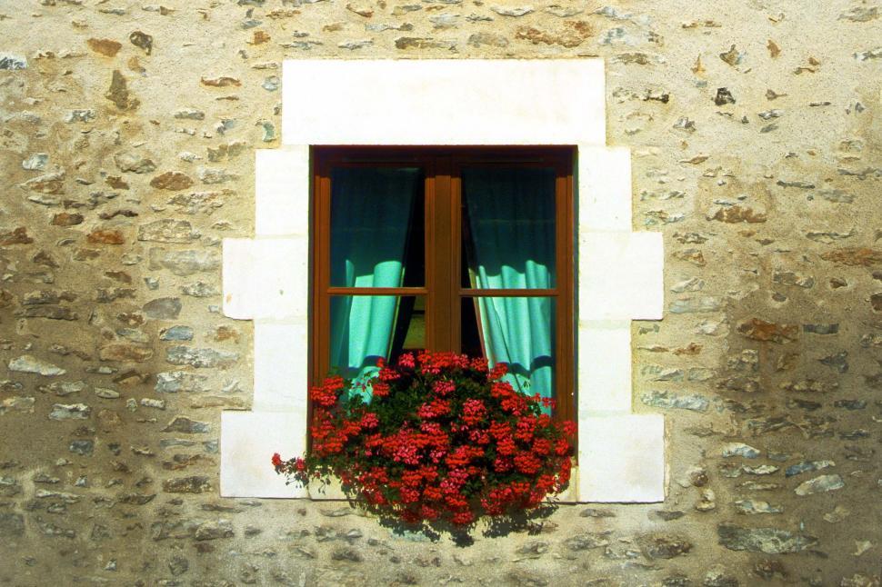 Free Image of French Window 