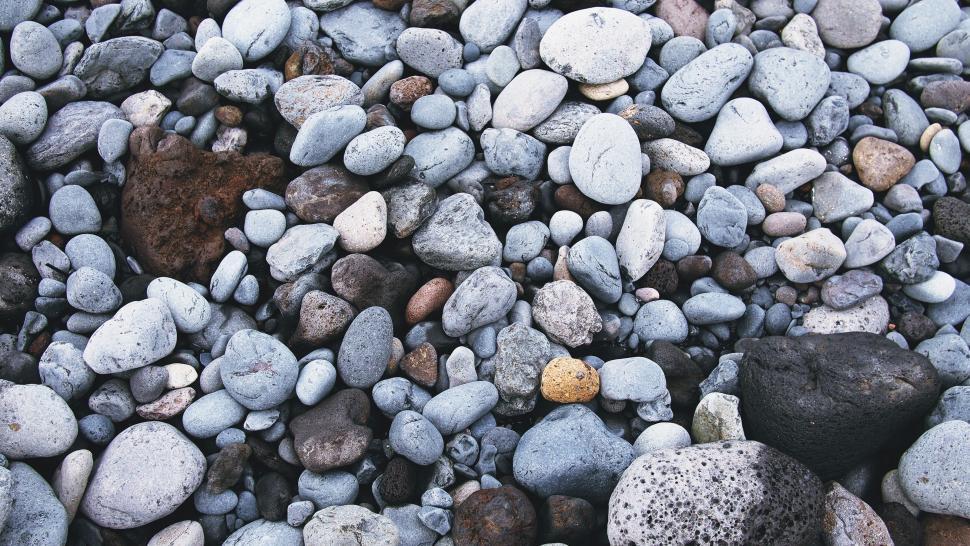Free Image of Variety of pebbles and stones texture 