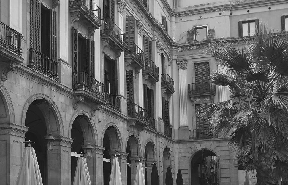 Free Image of Monochrome architecture courtyard view 
