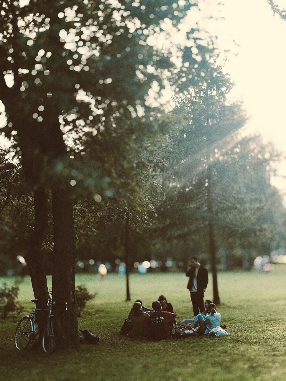 Free Image of Soft focus of people in a park at dusk 