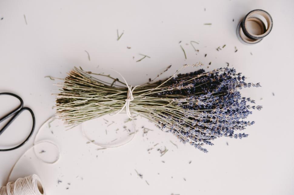 Free Image of Bundle of dried lavender on white 