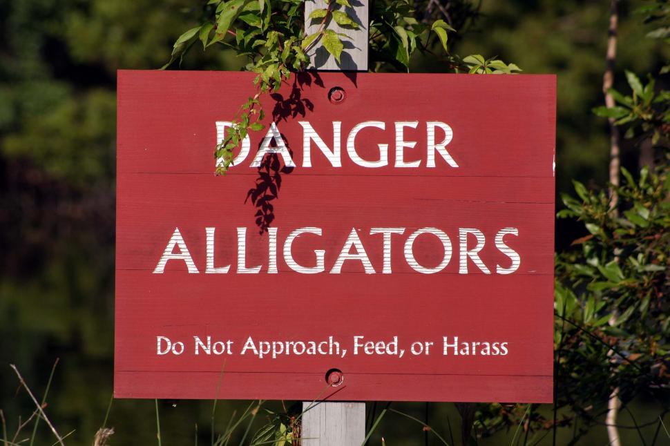 Free Image of Danger Alligators 