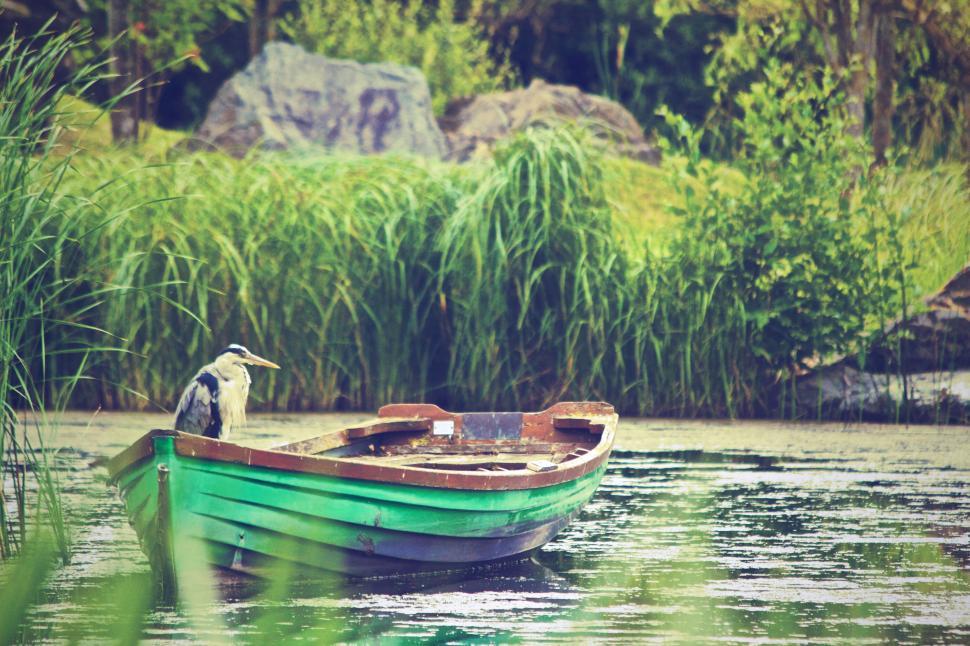 Free Image of Old green rowboat with heron on tranquil water 