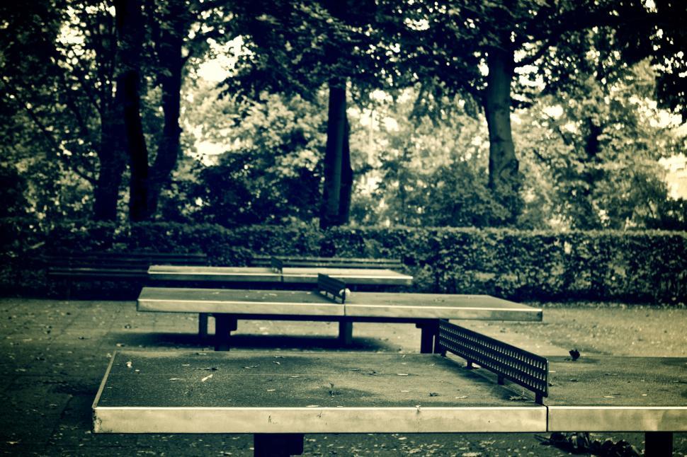 Free Image of Empty park benches under autumn trees 