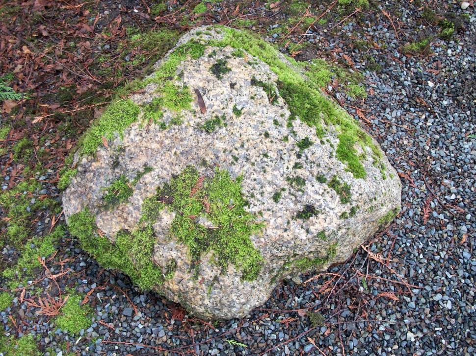 Free Image of Moss-Covered Rock on Gravel Ground 