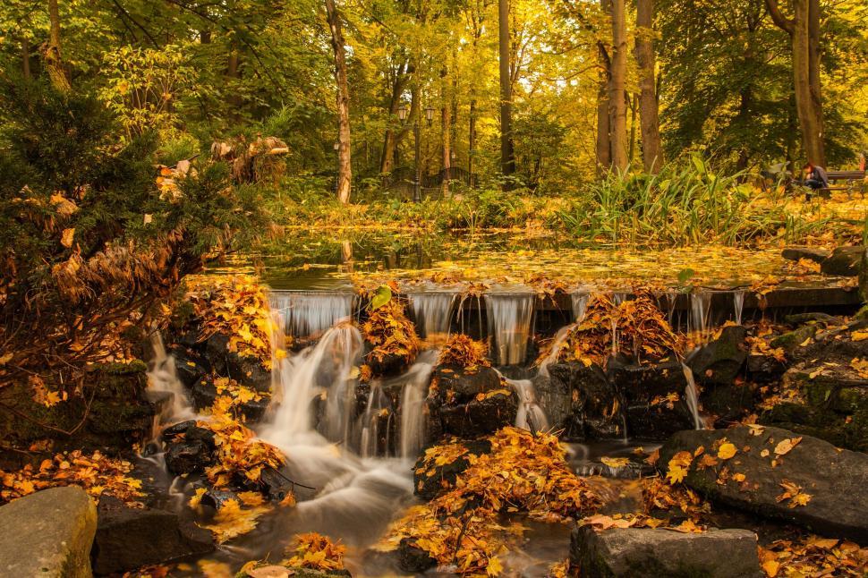 Free Image of Autumnal scene with a cascading stream 