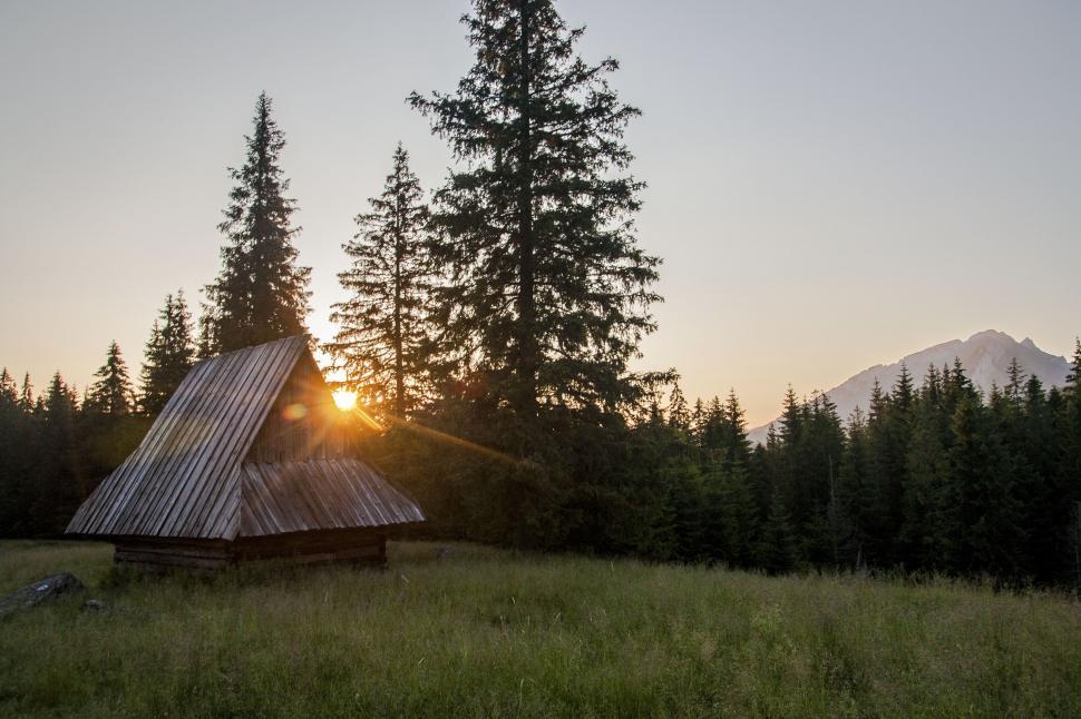 Free Image of Rustic cabin in a forest at sunrise 