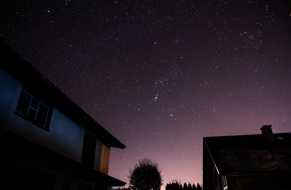 Free Image of Starry night sky over residential buildings 