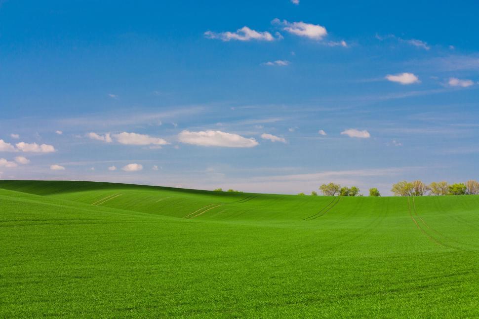 Free Image of Rolling green hills under a clear blue sky 