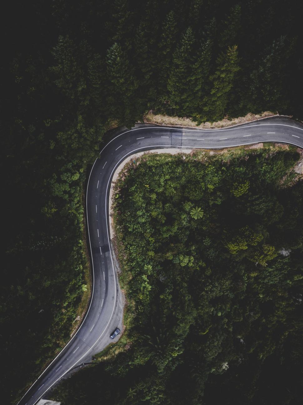 Free Image of Curved road amidst the dense forest from above 