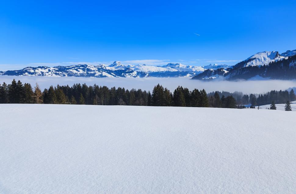 Free Image of Snow-covered landscape with trees and mountains 
