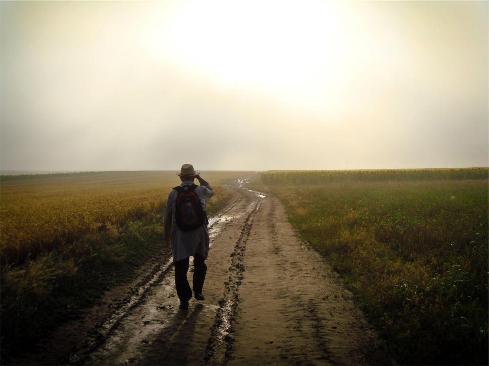 Free Image of Solitary figure walking in a misty field 