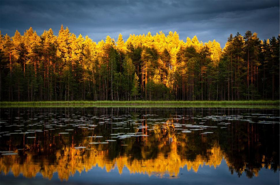 Free Image of Sunset reflecting in a forest lake 