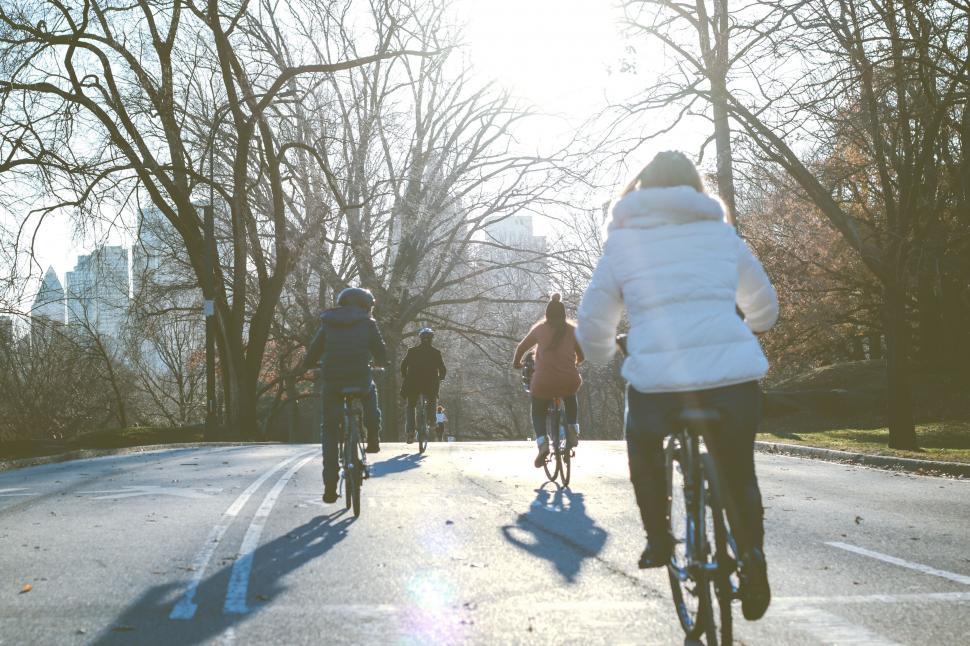 Free Image of Cyclists riding on a sunlit park road 
