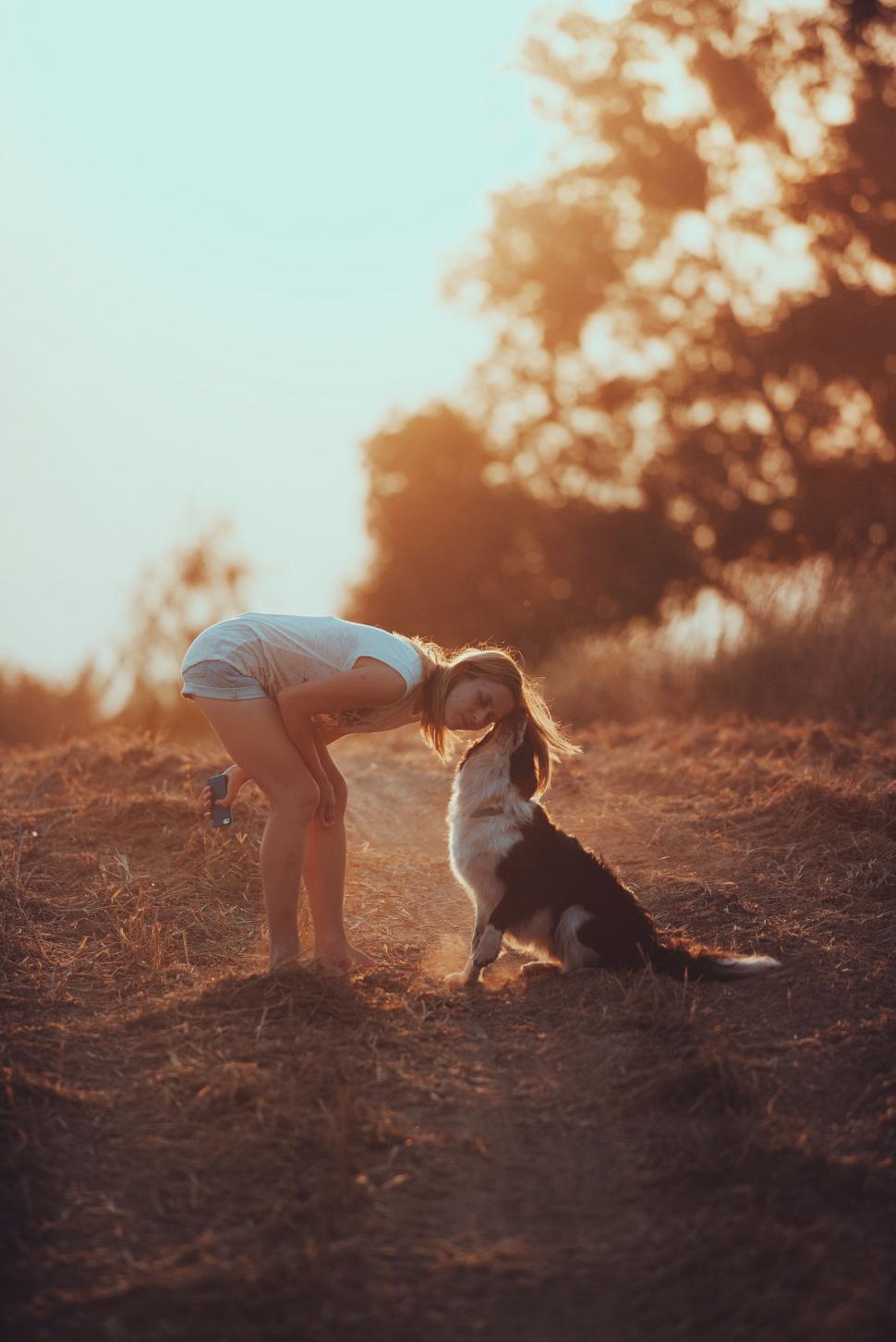 Free Image of Girl playing with dog in sunset field 