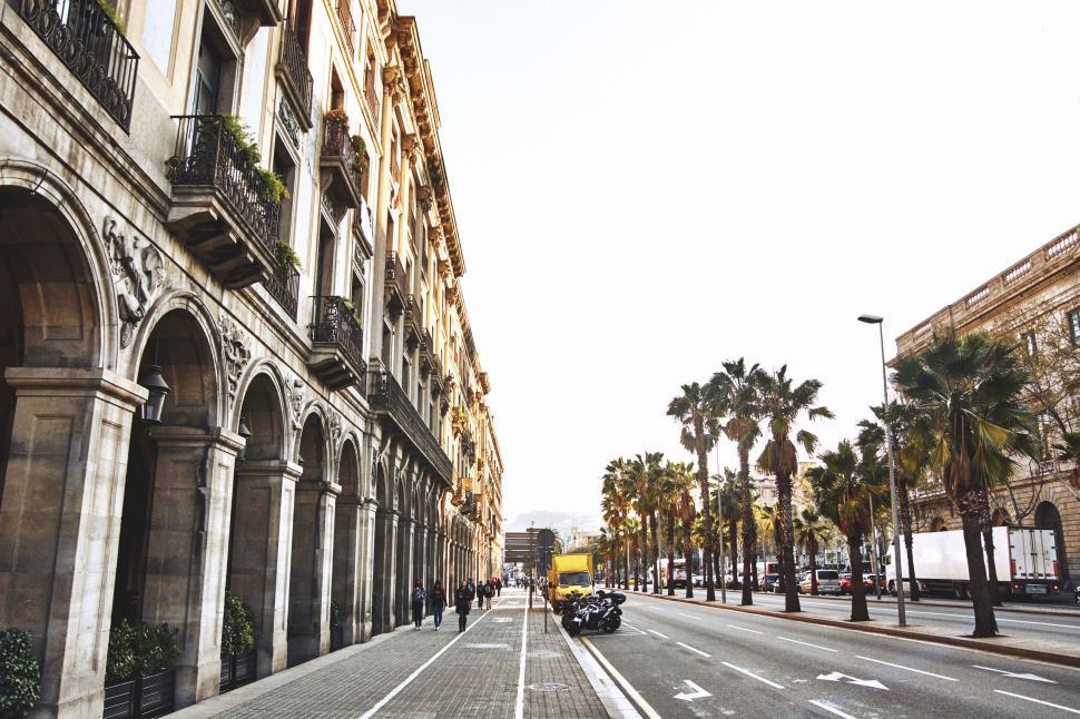 Free Image of Palm-lined street with historic European buildings 