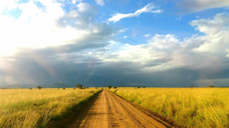 Free Image of Dirt road stretching into the horizon 