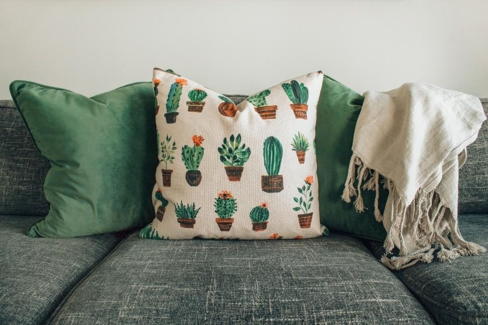 Free Image of Cozy cactus print cushion on a couch 