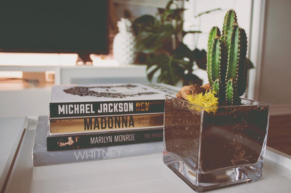 Free Image of Potted cactus and iconic pop star books 