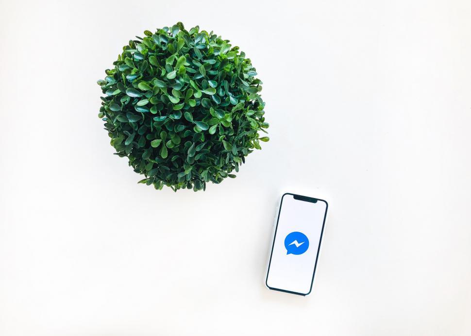 Free Image of Minimalistic green plant and phone with app 
