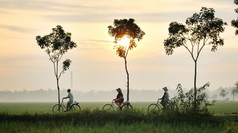 Free Image of Cyclists riding through serene morning field 