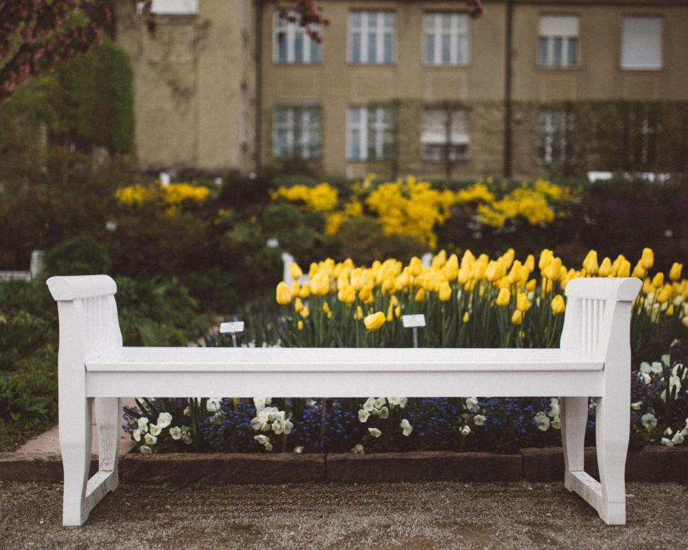 Free Image of White garden bench surrounded by flowers 