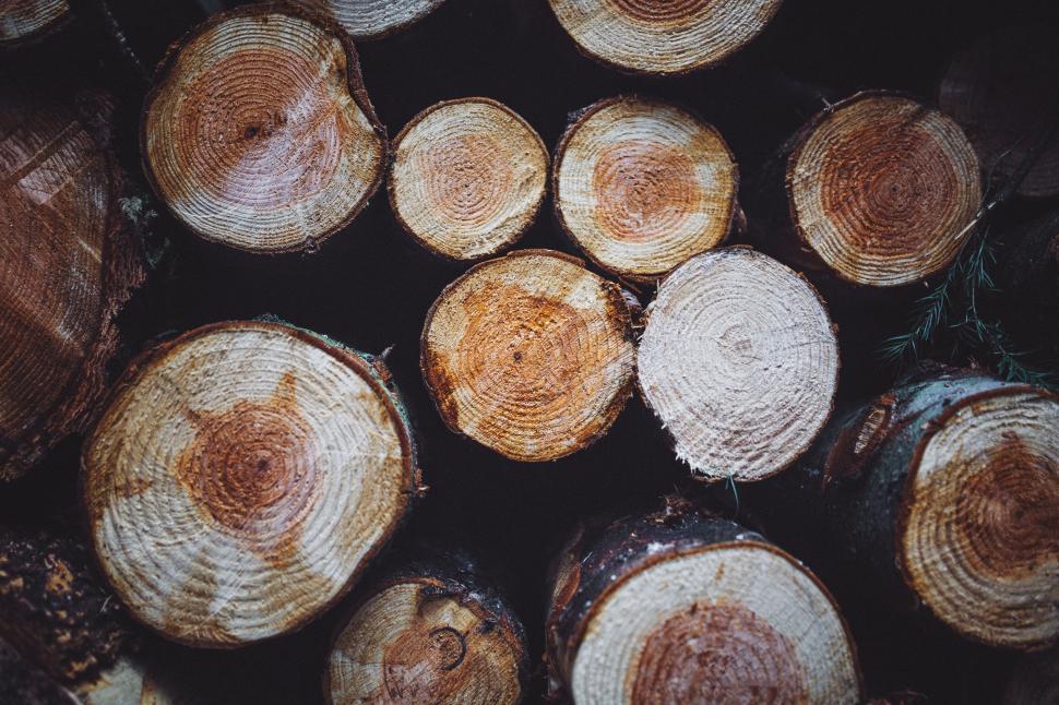 Free Image of Stack of Wood Logs Textured Background 