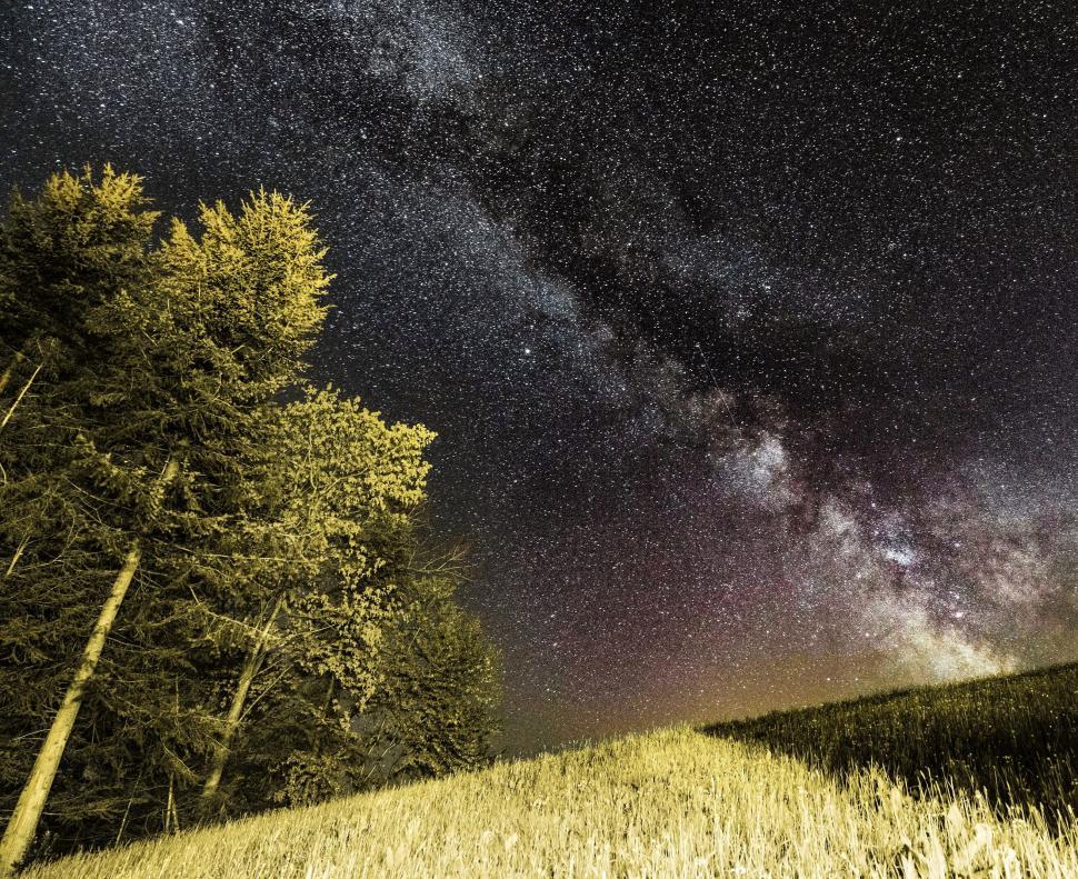 Free Image of Starry night over trees and field 