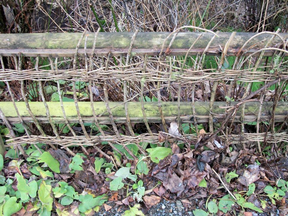 Free Image of Woven natural fence 