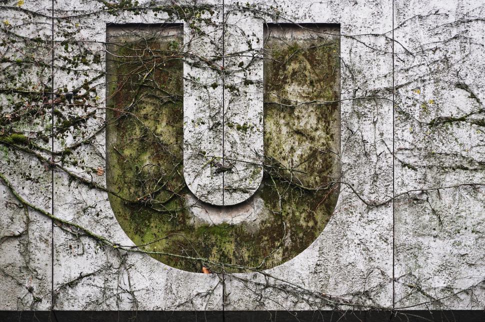 Free Image of Weathered logo with ivy growth on a wall 