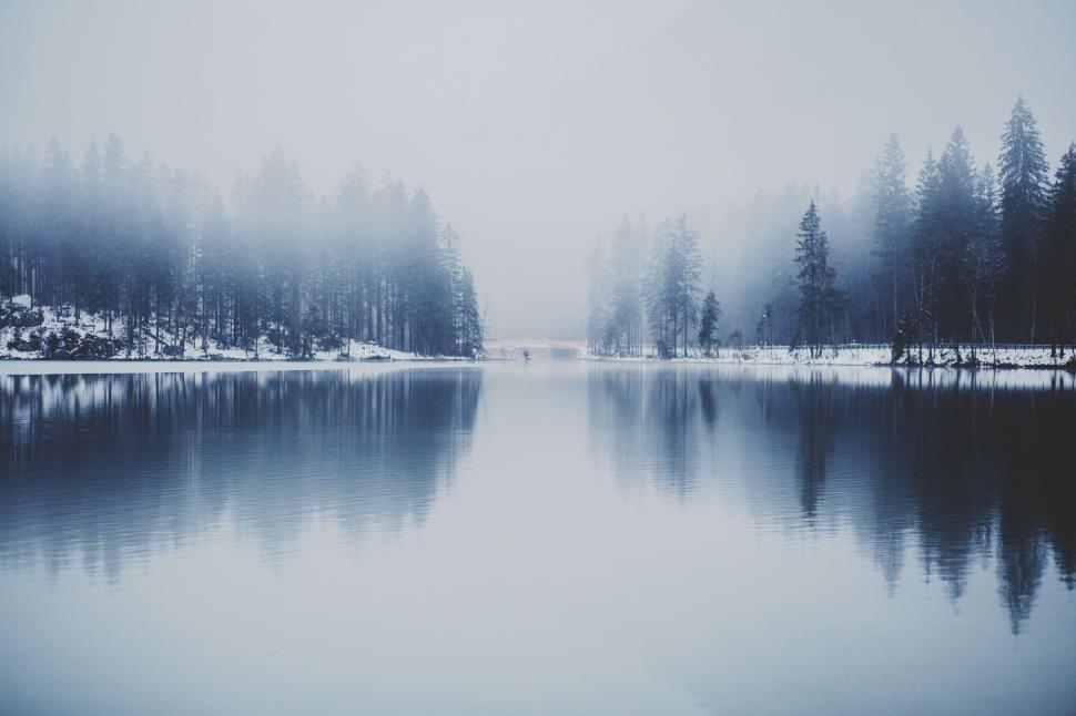 Free Image of Forest and lake covered in snow with foggy atmosphere 
