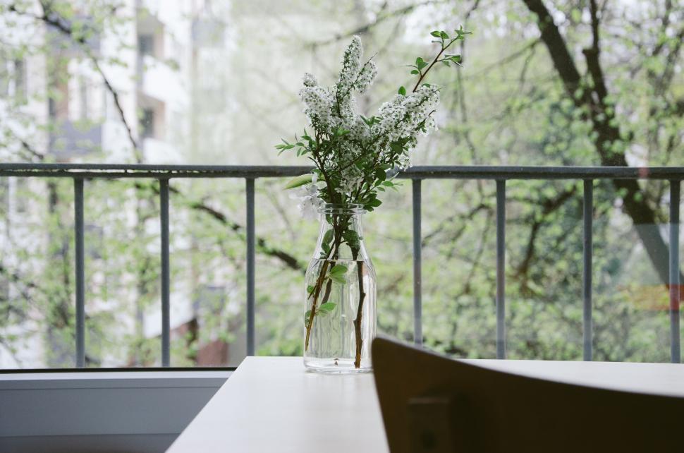 Free Image of Vase with white flowers on sunny balcony 