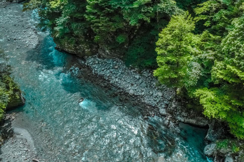 Free Image of Aerial view of a rocky river and trees 