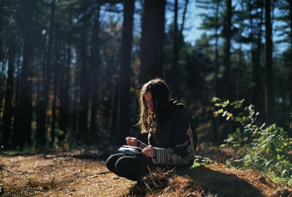Free Image of Person reading in sunlit forest identity hidden 