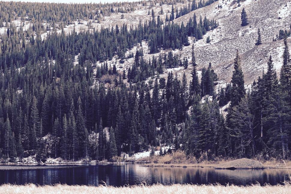 Free Image of Snow-dusted forest and calm mountain lake 